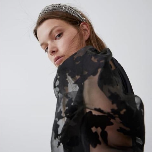 Zara - Picture 5 of 5